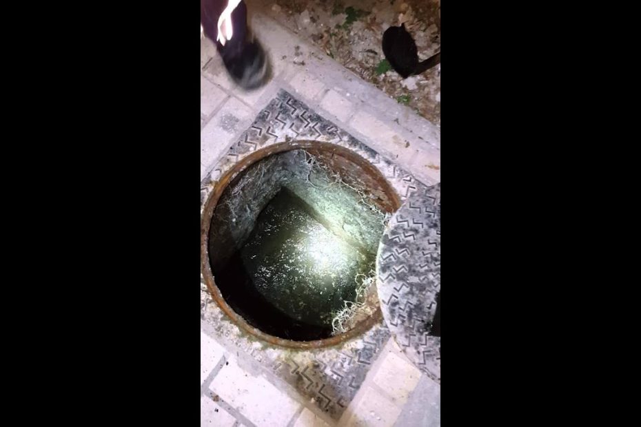 atasco en arqueta por raíces