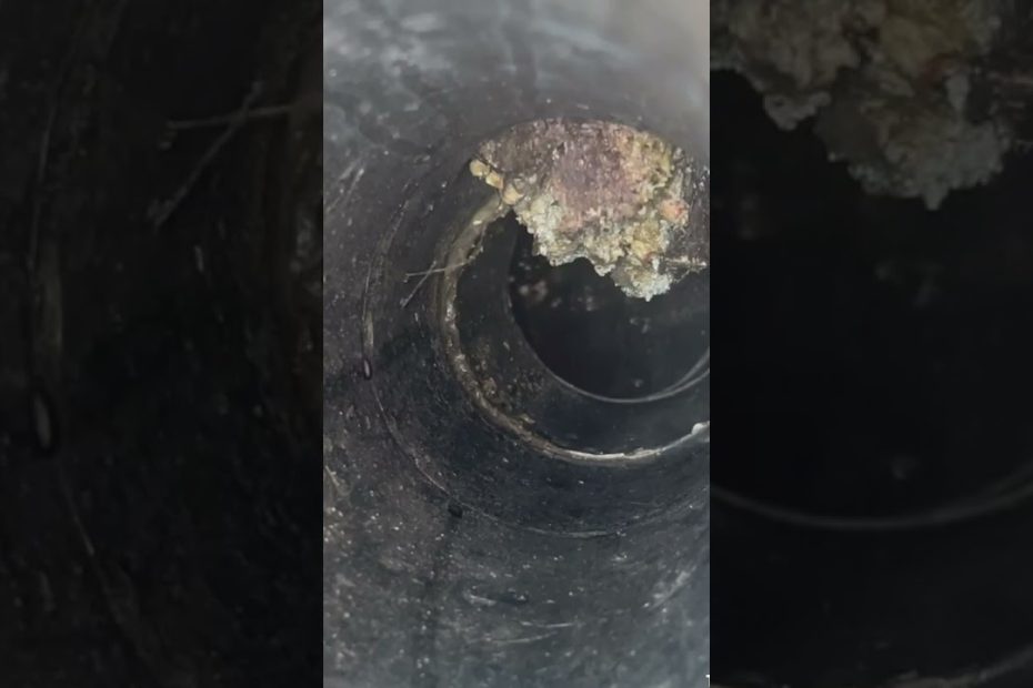 detección de raíces en saneamiento