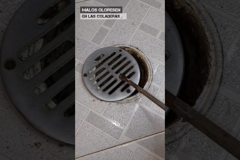 malos olores persistentes en desagües